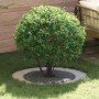 Macetero de Acero Inoxidable Acero inoxidable Grande Duradero | Foro24.es | Tu tienda online para hogar, jardín y más Foro24.es