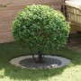 Macetero de Metal Galvanizado Galvanizado Acero Galvanizado Grande | Foro24.es | Tu tienda online para hogar, jardín y más Foro24.es