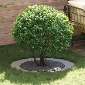 Macetero de metal galvanizado Galvanizado Metal Grande Duradero by , Pots and planters - Ref: Foro24-873715, Price: 76,96 €, ...