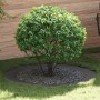 Macetero de metal grande Negro Metal Grande de , Maceteros y jardineras - Ref: Foro24-873718, Precio: 58,27 €, Descuento: %