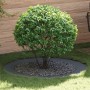 Macetero Antracita Antracita Resina Grande Duradero | Foro24.es | Tu tienda online para hogar, jardín y más Foro24.es