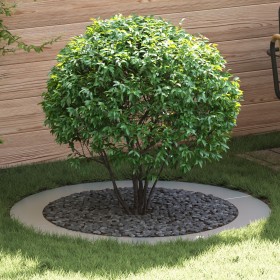 Macetero Galvanizado Galvanizado Acero Galvanizado Grande de , Maceteros y jardineras - Ref: Foro24-873729, Precio: 108,59 €,...