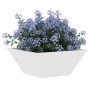 Macetero de Plástico Blanco Plástico 35 x 35 x 15 cm | Foro24.es | Tu tienda online para hogar, jardín y más Foro24.es