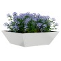 Macetero de Metal Acero Galvanizado 50 x 50 x 15 cm Rectangular | Foro24.es | Tu tienda online para hogar, jardín y más Foro24.es