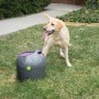 PetSafe Lanzador de pelotas automático gris y morado 9 m von , Hundespielzeug - Ref: Foro24-411446, Preis: 240,08 €, Rabatt: %