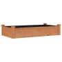 Jardinera arriate forro madera maciza abeto marrón 120x60x25 cm | Foro24.es | Tu tienda online para hogar, jardín y más Foro24.es