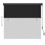 Estor enrollable de exterior gris antracita 160x250 cm | Foro24.es | Tu tienda online para hogar, jardín y más Foro24.es