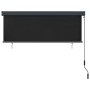 Estor enrollable de exterior gris antracita 160x250 cm | Foro24.es | Tu tienda online para hogar, jardín y más Foro24.es