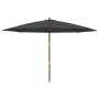 Sombrilla de jardín con poste de madera negro 400x273 cm de , Sombrillas - Ref: Foro24-363181, Precio: 115,18 €, Descuento: %
