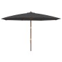 Sombrilla de jardín con poste de madera negro 400x273 cm de , Sombrillas - Ref: Foro24-363181, Precio: 115,18 €, Descuento: %