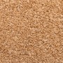 Alfombras de peldaños de escalera 15 uds beige 65x21x4 cm | Foro24.es | Tu tienda online para hogar, jardín y más Foro24.es