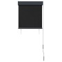 Estor enrollable de exterior gris antracita 60x250 cm de , Persianas y estores - Ref: Foro24-145946, Precio: 47,96 €, Descuen...