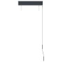 Estor enrollable de exterior gris antracita 60x250 cm de , Persianas y estores - Ref: Foro24-145946, Precio: 47,96 €, Descuen...