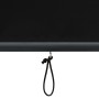 Estor enrollable de exterior gris antracita 60x250 cm de , Persianas y estores - Ref: Foro24-145946, Precio: 47,96 €, Descuen...