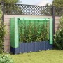 Arriate con cubierta invernadero aspecto ratán 160x40x138 cm by , Pots and planters - Ref: Foro24-4015830, Price: 123,35 €, D...