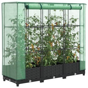 Arriate con cubierta invernadero aspecto ratán 120x40x123 cm by , Pots and planters - Ref: Foro24-4015811, Price: 76,68 €, Di...