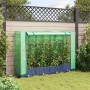Arriate con cubierta invernadero aspecto ratán 160x40x123 cm by , Pots and planters - Ref: Foro24-4015826, Price: 107,15 €, D...