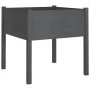 Planters 2 pcs solid gray pine wood 70x70x70 cm by vidaXL, Pots and planters - Ref: Foro24-810814, Price: 72,47 €, Discount: %