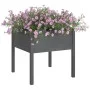 Planters 2 pcs solid gray pine wood 70x70x70 cm by vidaXL, Pots and planters - Ref: Foro24-810814, Price: 72,47 €, Discount: %
