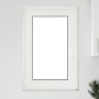 Ventana de sótano "RISOR" 60x90 cm oscilobatiente DIN izquierda | Foro24.es | Tu tienda online para hogar, jardín y más Foro24.es
