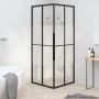 Cabina de ducha ESG semiesmerilado negro 80x80x180 cm von , Duschtüren - Ref: Foro24-151853, Preis: 297,73 €, Rabatt: %
