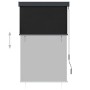 Estor enrollable de exterior gris antracita 100x250 cm by , Blinds and blinds - Ref: Foro24-145958, Price: 58,04 €, Discount: %