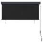 Estor enrollable de exterior gris antracita 140x250 cm | Foro24.es | Tu tienda online para hogar, jardín y más Foro24.es