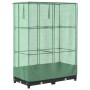 Arriate con cubierta invernadero aspecto ratán 80x40x123 cm by , Pots and planters - Ref: Foro24-4015810, Price: 66,86 €, Dis...