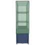 Arriate con cubierta invernadero aspecto ratán 160x40x153 cm by , Pots and planters - Ref: Foro24-4015831, Price: 157,58 €, D...