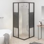 Cabina de ducha a rayas ESG negra 80x80x180 cm by , shower doors - Ref: Foro24-151849, Price: 267,01 €, Discount: %