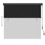 Estor enrollable de exterior gris antracita 170x250 cm by , Blinds and blinds - Ref: Foro24-145982, Price: 70,39 €, Discount: %