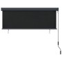 Estor enrollable de exterior gris antracita 170x250 cm by , Blinds and blinds - Ref: Foro24-145982, Price: 70,39 €, Discount: %