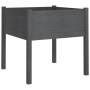 Solid gray pine wood planter 70x70x70 cm by vidaXL, Pots and planters - Ref: Foro24-810813, Price: 46,68 €, Discount: %