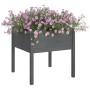 Solid gray pine wood planter 70x70x70 cm by vidaXL, Pots and planters - Ref: Foro24-810813, Price: 46,68 €, Discount: %