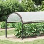 Funda para plantas con ojales 2x4 m Polietileno von , Laubdecke - Ref: Foro24-3308701, Preis: 21,34 €, Rabatt: %