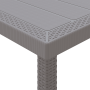 Mesa de Jardín Gris Claro 250x100x73 cm Poly Rattan von , Gartentische - Ref: Foro24-3378519, Preis: 230,77 €, Rabatt: %