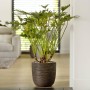 Capi Macetero Nature Rib marrón oscuro 43x41 cm | Foro24.es | Tu tienda online para hogar, jardín y más Foro24.es