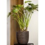 Capi Macetero Nature Rib marrón oscuro 43x41 cm | Foro24.es | Tu tienda online para hogar, jardín y más Foro24.es