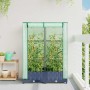 Arriate con cubierta invernadero aspecto ratán 80x40x123 cm | Foro24.es | Tu tienda online para hogar, jardín y más Foro24.es