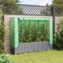 Arriate con cubierta invernadero aspecto ratán 160x40x138 cm by , Pots and planters - Ref: Foro24-4015858, Price: 107,64 €, D...