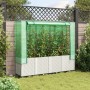 Arriate con cubierta invernadero aspecto ratán 160x40x153 cm | Foro24.es | Tu tienda online para hogar, jardín y más Foro24.es