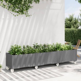 Jardinera con ruedas PP gris claro 240x50x54 cm