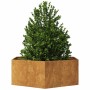 Jardinera hexagonal 138x120x45 cm acero desgastado von , Töpfe und Pflanzgefäße - Ref: Foro24-851142, Preis: 71,83 €, Rabatt: %