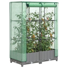 Comprar Arriate con cubierta invernadero aspecto