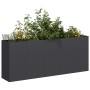 Jardinera de acero laminado en frío negro 200x40x80 cm von , Töpfe und Pflanzgefäße - Ref: Foro24-860724, Preis: 267,13 €, Ra...