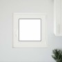 Ventana de sótano "RISOR" 50x50 cm oscilobatiente DIN derecha antracita de , Ventanas - Ref: Foro24-4108382, Precio: 99,40 €,...