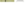 Gallinero madera maciza de pino impregnada 268x500x190 cm by , Cages and habitats for small animals - Ref: Foro24-3102991, Pr...