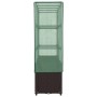 Arriate con cubierta invernadero aspecto ratán 160x40x153 cm by , Pots and planters - Ref: Foro24-4015803, Price: 146,26 €, D...