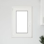 Ventana de sótano "RISOR" 50x75 cm oscilobatiente DIN izquierda antracita de , Ventanas - Ref: Foro24-4108385, Precio: 130,12...