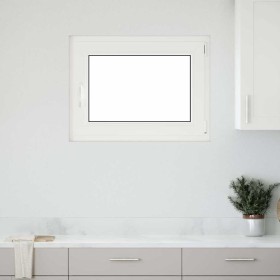 Comprar Ventana de sótano "RISOR" 80x70 cm